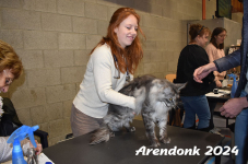 Arendonk 2024 073
