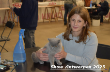 Schow Antwerpen 2023 131