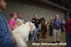 Antwerp 2022157
