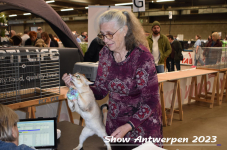 Schow Antwerpen 2023 270