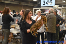 Antwerpen 2019DSC 0329