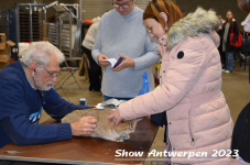 Schow Antwerpen 2023 086