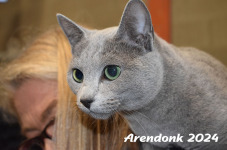 Arendonk 2024 118