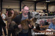 Laakdal 2023 213