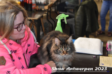 Schow Antwerpen 2023 200