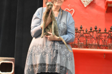 Katttenshow Arendonk 2020 DSC 0457