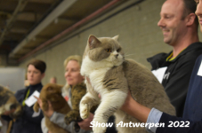 Antwerp 2022308