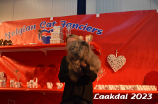 Laakdal 2023 277