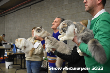 Antwerp 2022210