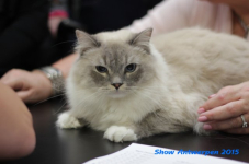 antw 2015 153