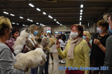 Show Antwerpen 2021 340