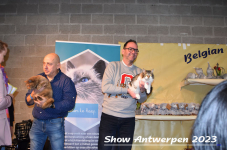 Schow Antwerpen 2023 346