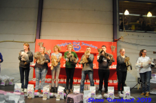turnhout 2019-0184