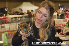 Schow Antwerpen 2023 319