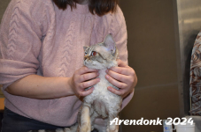 Arendonk 2024 138