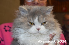 Arendonk 2024 497