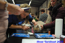 turnhout 2019-0040