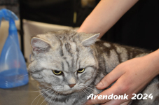 Arendonk 2024 137
