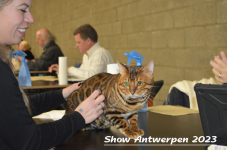 Schow Antwerpen 2023 267