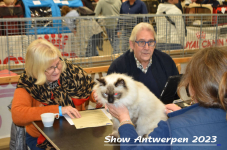 Schow Antwerpen 2023 242