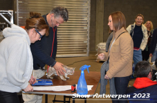 Schow Antwerpen 2023 096