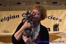 Antwerpen 2019DSC 0407