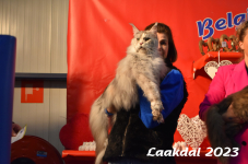 Laakdal 2023 376