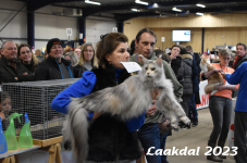 Laakdal 2023 341
