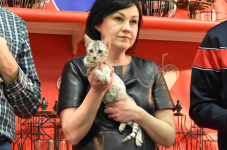 Katttenshow Arendonk 2020 DSC 0616