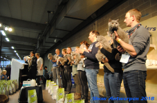 antwerp 2018 0254
