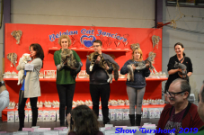 turnhout 2019-0377