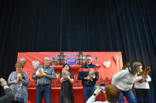 Katttenshow Arendonk 2020 DSC 0624
