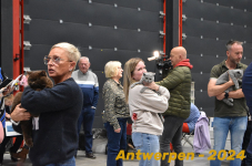 Antwerpen 199
