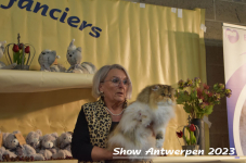 Schow Antwerpen 2023 382