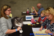 Antwerpen 2019DSC 0240