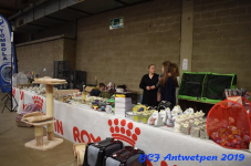 Antwerpen 2019DSC 0153