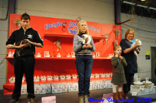 turnhout 2019-0215