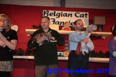 bcf antw 2010 203