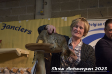 Schow Antwerpen 2023 440