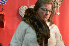 Katttenshow Arendonk 2020 DSC 0623
