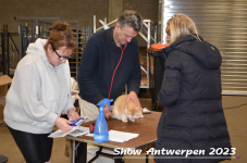 Schow Antwerpen 2023 088