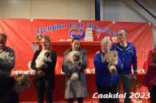 Laakdal 2023 311