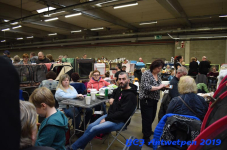 Antwerpen 2019DSC 0166