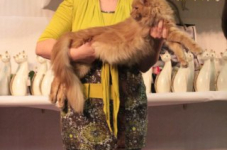 arendonk 2012 261
