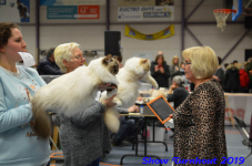 turnhout 2019-0446