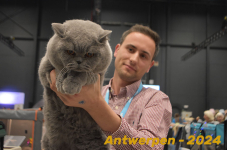 Antwerpen 271