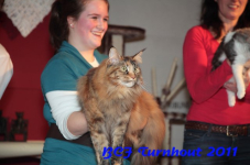 bcf antw 2010 263