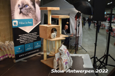 Antwerp 2022397