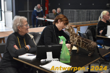 Antwerpen 255
