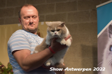 Antwerp 2022196